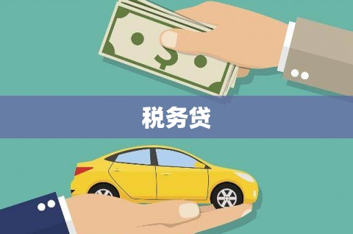 介休税务贷