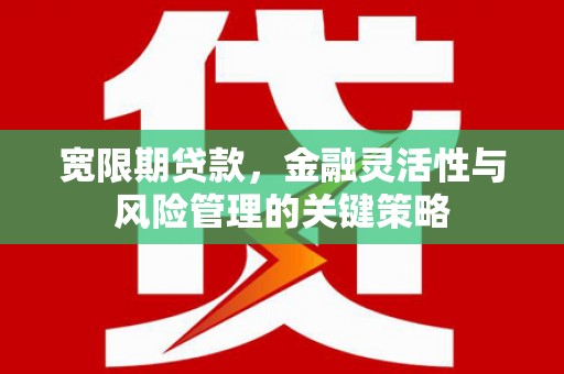介休宽限期贷款，金融灵活性与风险管理的关键策略