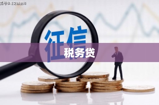 介休税务贷