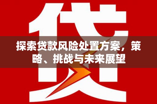 介休探索贷款风险处置方案，策略、挑战与未来展望