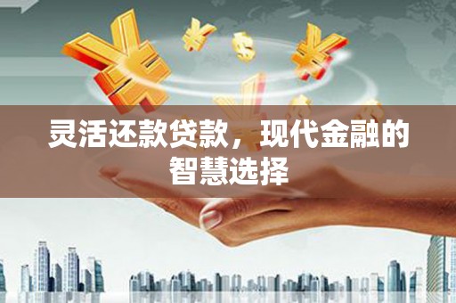 介休灵活还款贷款，现代金融的智慧选择