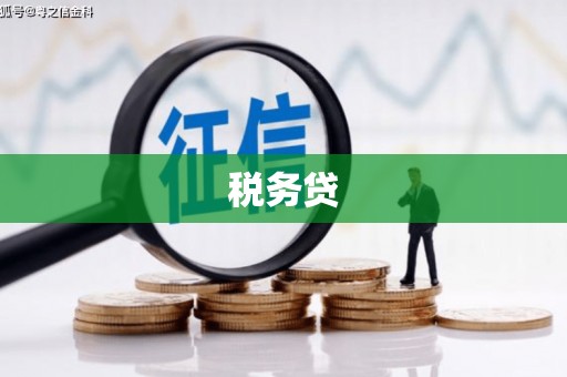 介休税务贷