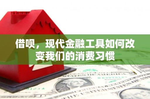 介休借呗，现代金融工具如何改变我们的消费习惯